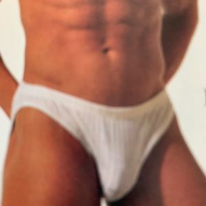 Bikini cut Eros Brief with sheer stripes B050*